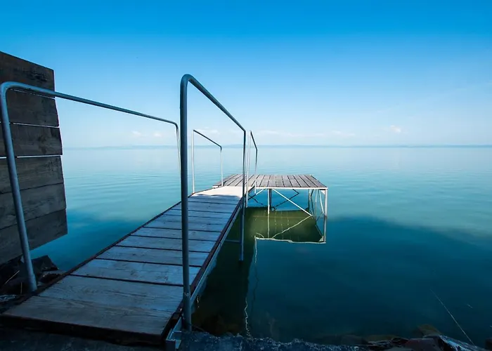 Tulevel * 希欧福克